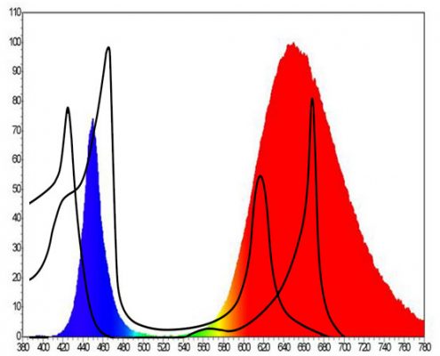 مقایسه طیف الکترومغناطیسی یک نمونه LED فول اسپکتروم